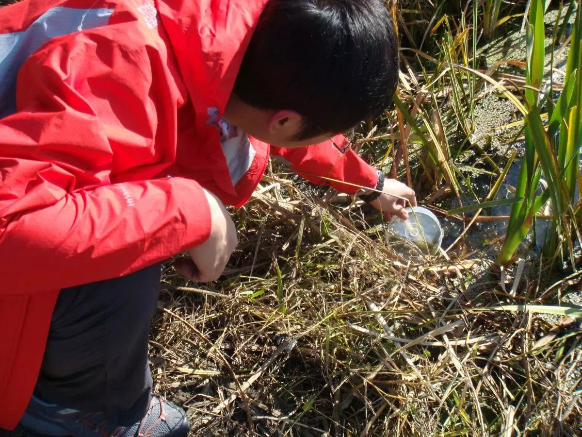 凈易單兵戶外凈水器可以以湖水等地表水為水源